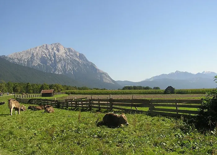 Sonnenhof ميمنغ