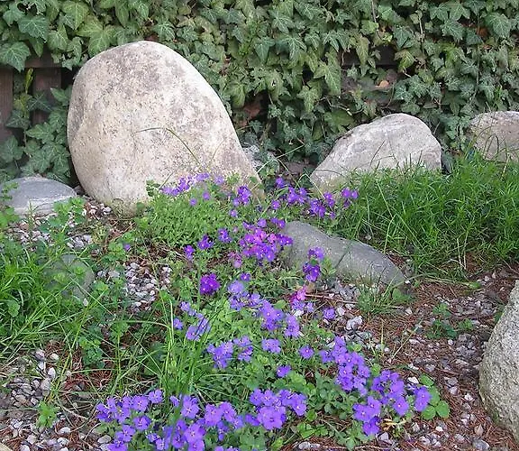 Sonnenhof بيت ضيافة 3*