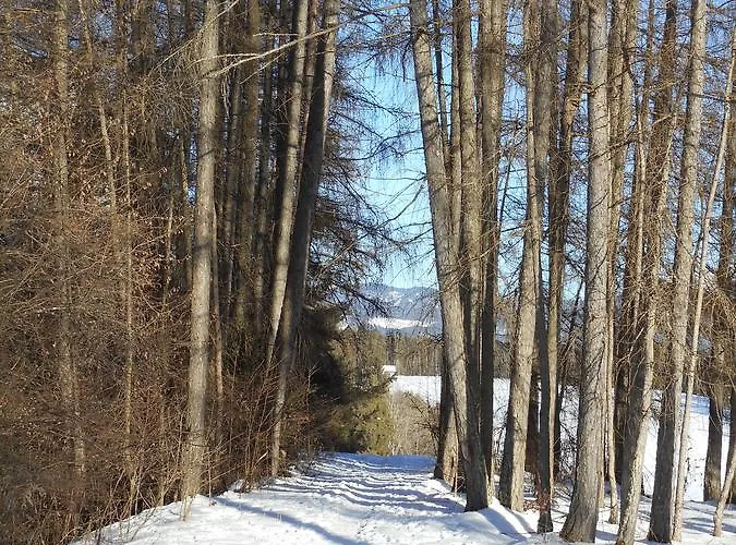 Sonnenhof 3* ميمنغ