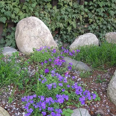 Sonnenhof Penzion 3*