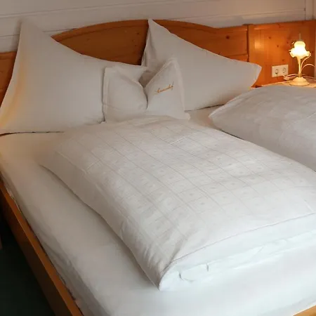 索奈恩霍夫旅馆 3*